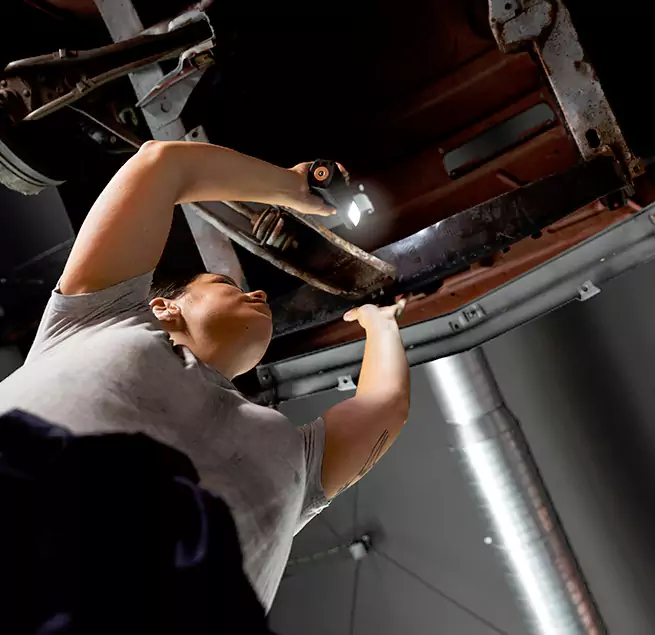 Why Homeowners & Businesses Trust Us Jasmine Estates, FL