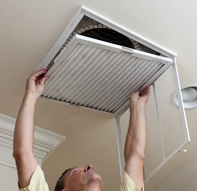 Why Homeowners & Businesses Trust Us in Jasmine Estates, FL?