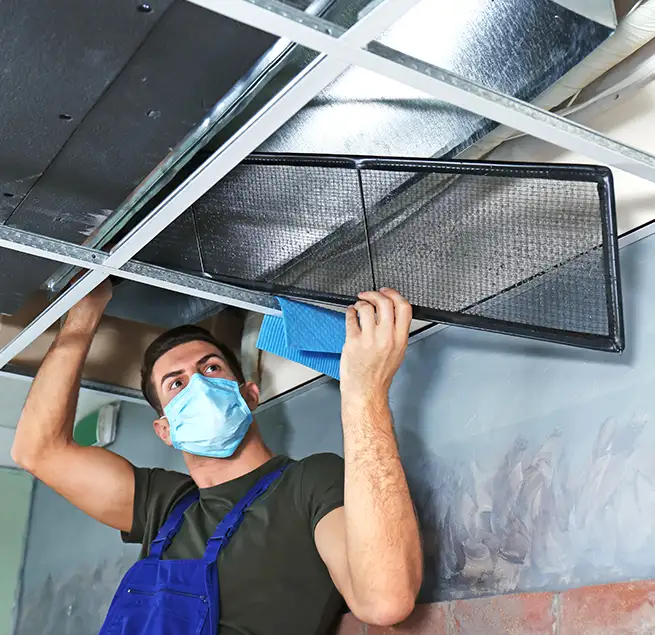 Why Homeowners & Businesses Trust Us in Jasmine Estates, FL?