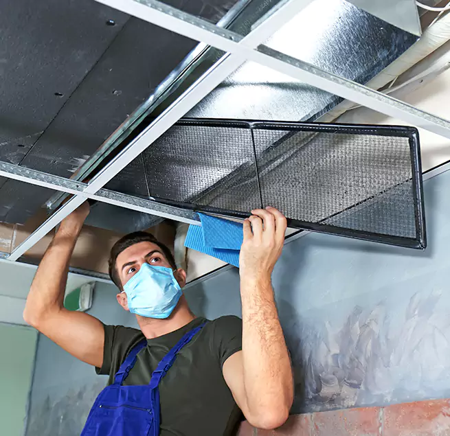 Why Homeowners & Businesses Trust Us in Jasmine Estates, FL?