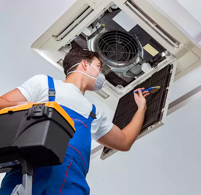 Why Homeowners & Businesses Trust Us in Jasmine Estates, FL?