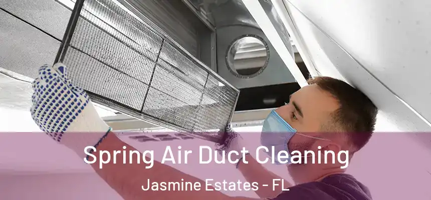 Spring Air Duct Cleaning Jasmine Estates - FL