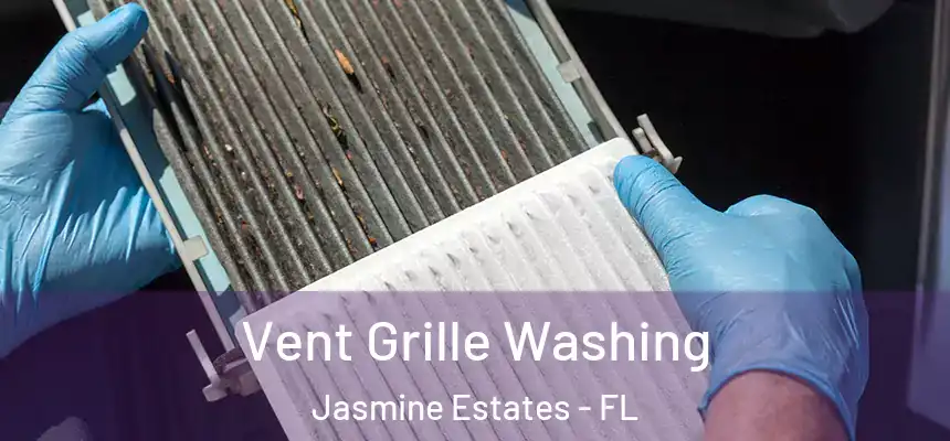 Vent Grille Washing Jasmine Estates - FL