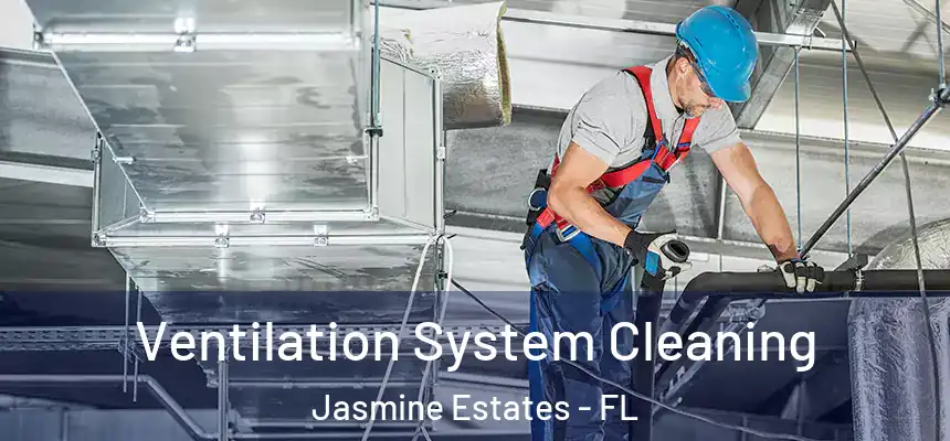 Ventilation System Cleaning Jasmine Estates - FL