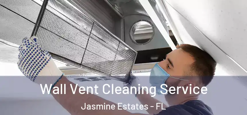 Wall Vent Cleaning Service Jasmine Estates - FL