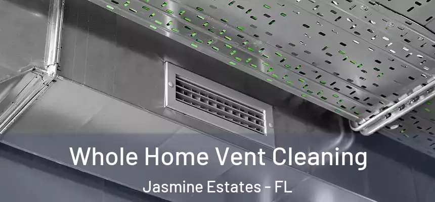 Whole Home Vent Cleaning Jasmine Estates - FL